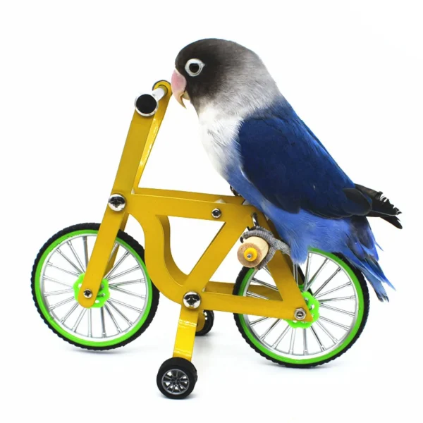 Parrot Bike Toy