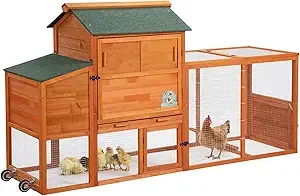Large Wooden Chicken Coop