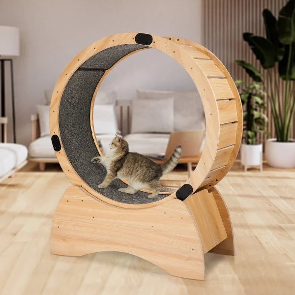 Wooden cat treadmill
