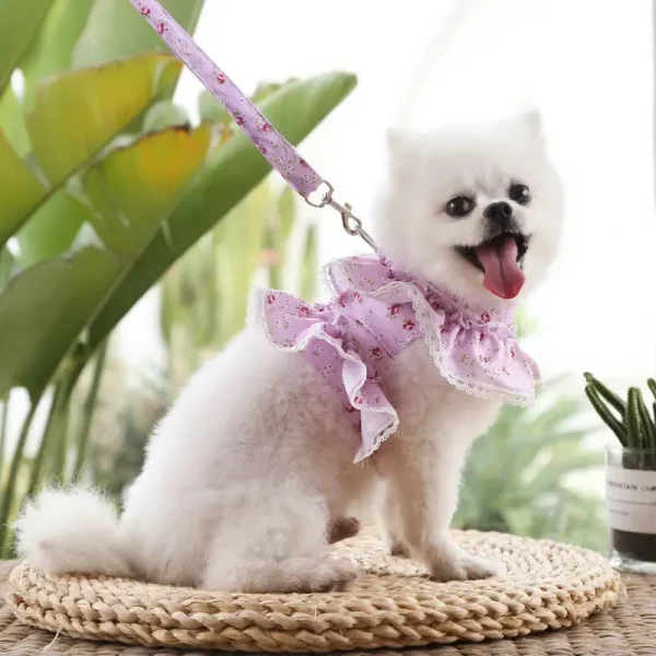 Floral outfit & Leash